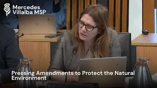 Amendments to the Natural Environment Bill