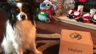 Fairyloot YA Unboxing - December 2022