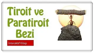 AYT Biyoloji | Tiroit ve Paratiroit Bezi #sayfa32
