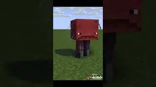 Minecraft Strider TNT Explosion