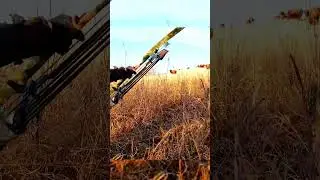 Bison Hunting Adventure: Tips and Techniques #BisonHunting #WildlifeHunting #BigGameHunting