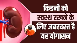 किडनी (Kidney) को स्वस्थ (Healthy) रखने के लिए जबरदस्त है यह योगासन || Swami Ramdev