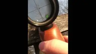 Controlling Starlings with Crosman Optimus .177 cal