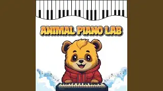 Music From Piano