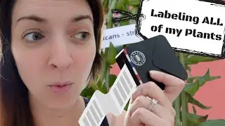 Labeling ALL of my Plants | Phomemo M02S Photo Printer