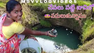 కాలవలో చేపల పట్టి మా బావిలో వదులుతున్నాము#fishinhuntingvideo#mgvvlogvideos#