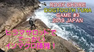 【ヒラマサロッド】1投目でパクッと 18kg！【獲れるのか？】#23
