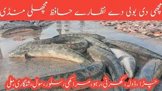 &ldquo;Pakistan Fish Market Today | Fresh Fish Rates & Live Bidding&rdquo;