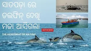 Satapada Tour । Satapada Dolphins 