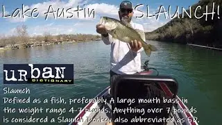 Bass Fishing Lake Austin In A FULLY RESTORED Champion 202 - Big Bass Caught!