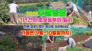 주말농장~2025가을시즌(9월~10월말)모음영상입니다.#주말농장#주말텃밭#초보농부