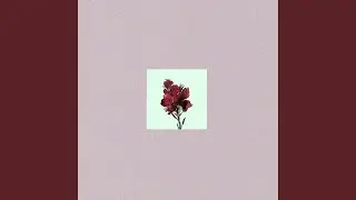 July 13
