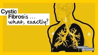 Lungs | How does cystic fibrosis affect the body?