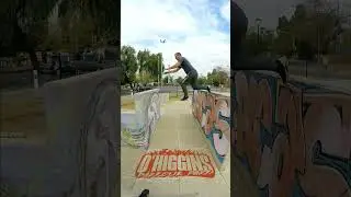 Saltos a brazo Parque O'Higgins 3