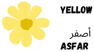 Colors in Arabic &ndash; Fun & Easy Learning Guide 🎨