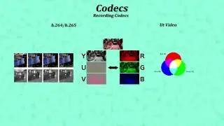 Technical Foundations | Colour Space, Compression, Codecs and Hardware 101 for Content Creators