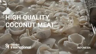 Coconut Meat factory in indonesia | Skala International