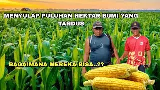 Bagaimana Bisa Petani Pelosok Desa Ini Menyulap Bumi Tandus Jadi Sesubur Ini?