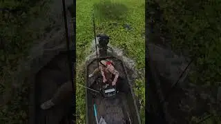 GatorTail GTRxd- 40 hp - ramp is never closed 💪
