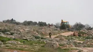 המנהל האזרחי עקר והשחית יותר מ-3,000 עצים בצפון בקעת הירדן