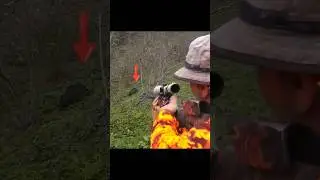 Идеальный выстрел! Опасная охота на дикого кабана в лесу 😱#wildboar #охота #hunting #chasse