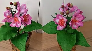 Linda e delicada flor do  urucum  de eva sem frisador