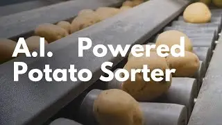 AI powered Potato Sorter | India's smartest potato grading and sorting machine