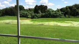 11515 Hammocks Glade Drive Riverview FL 33569 - Realty Concierge Services