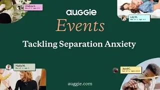 Tackling Separation Anxiety  | Auggie Virtual Event (10.03.25)