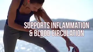 Beet Root - Beetroot Powder Supports Blood Pressure, Athletic Performance, Digestive, Immune System