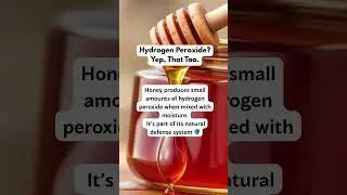 Honey as Nature&rsquo;s Original Preservative: Here&rsquo;s Why It Works