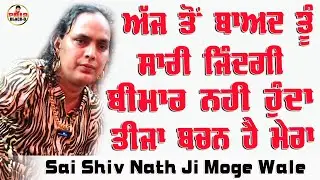 Sai Shiv Nath Ji Moga | Sai Shivam Nath ji Moge Wale | Choki Peera Di | Diwan Peera Da Live 2025