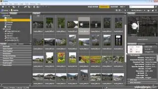 View Options