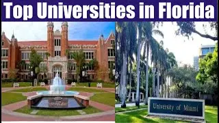 Top 5 Universities in Florida