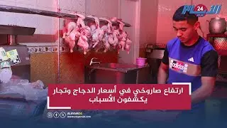 ارتفاع صاروخي في أسعار الدجاج وتجار يكشفون الأسباب