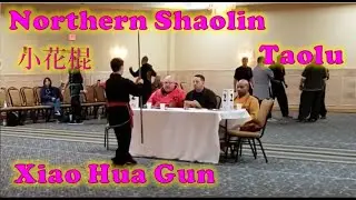 Northern Shaolin form Xiao Hua Gun - ZYKFA Competing 2019