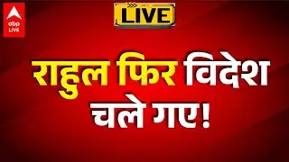 Rahul Gandhi: राहुल गांधी फिर विदेश यात्रा पर निकले |ABPLIVE