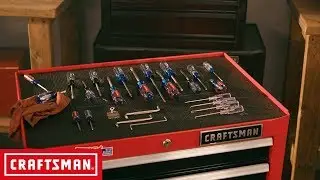 CRAFTSMAN 25 Piece Precision Multi-Bit Screwdriver Set | Tool Overview