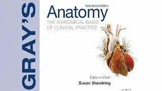 GRAY&rsquo;S ANATOMY | Chapter-65 | Large Intestine