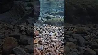 The calemness of water #calmwaters #breathofnature #riverjourney #rivermagic #shorts #underwater
