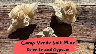 SALT GYPSUM and SELENITE, in one place Camp Verde Arizona