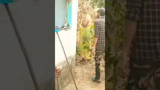 #indian spectacle venomous cobra snake rescue in #cherlapalli #village