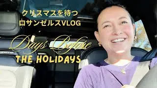 クリスマスを待つロサンゼルスVLOG | Friedia