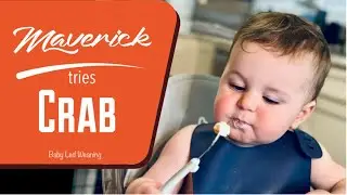 Maverick tries Crab - 15 Months
