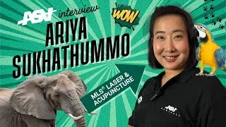 Vet Laser & Acupuncture | The experience of Dr. Ariya &ldquo;Minnie&rdquo; Sukhathummo (Thailand)