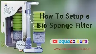 How To Setup a Bio Sponge Filter in Aquarium #filter #aquacolours #filters