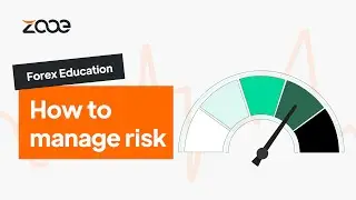 Zooe Academy: How to Manage Risk in Forex Trading Effectively
