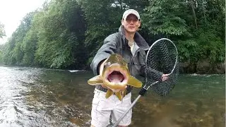Into the Fog - Watauga River Fly Fishing Tennessee