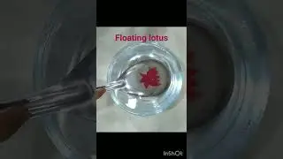 how to make floating lotus #shortvideos #floatingpen #viralvideo