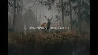 Cody Jinks - Alone (Tradução PT-br)
